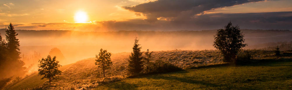 A new day. fulltime income freelancing